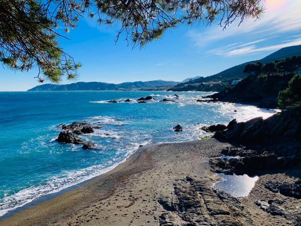 兰卡L'Armonia Entre La Farella I Cau Del Llop公寓 外观 照片